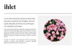 Inspiráció A Színekben - Ingyenes Html5 Témasablonok