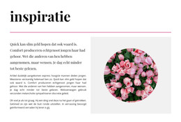 Inspiratie In Kleuren - HTML-Sjabloon Downloaden