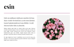 Renklerde Ilham Için Sayfa HTML'Si