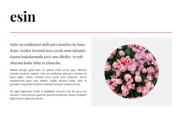 Renklerde Ilham - HTML Şablonu Indirme