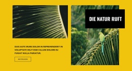 Die Natur Ruft Website Design