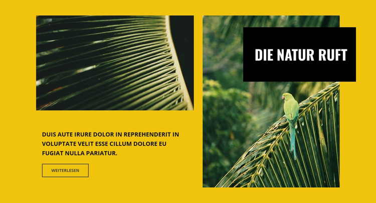 Die Natur ruft WordPress-Theme