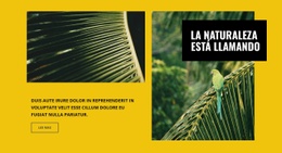 La Naturaleza Esta Llamando - Diseño De Sitio Web De Descarga Gratuita