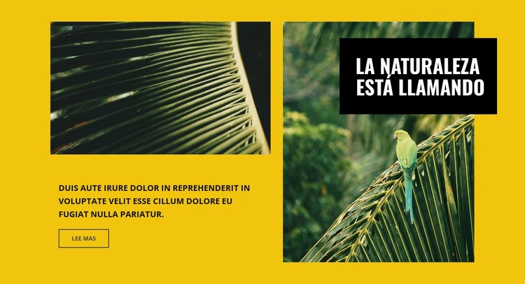 La naturaleza esta llamando Plantilla CSS