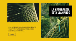 La Naturaleza Esta Llamando: Plantilla HTML Y CSS