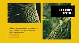 La Nature Appelle - Modèle Ultime D'Une Page