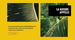 La Nature Appelle - Thème WordPress À Télécharger Gratuitement