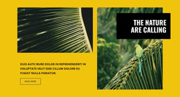 Site Template For The Nature Are Calling