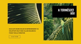 A Természet Hív - Ingyenes Webhelysablon