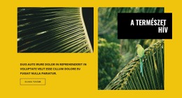 A Természet Hív - Ingyenesen Letölthető Weboldal Tervezés