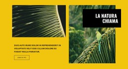 HTML5 Reattivo Per La Natura Chiama