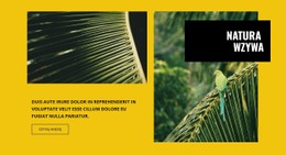 Responsywny HTML5 Dla Natura Wzywa