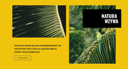 Natura Wzywa - Szablon HTML I CSS