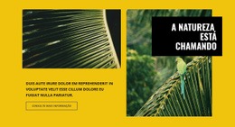 A Natureza Está Chamando - Download Gratuito Do Design Do Site