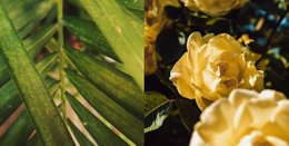 Folhas E Flores - Modelo De Site De Página Única