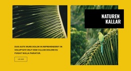 Naturen Kallar - HTML- Och CSS-Mall