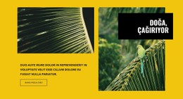 Doğa Çağırıyor Için Duyarlı HTML5