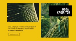 Doğa Çağırıyor - Ücretsiz Şablonlar