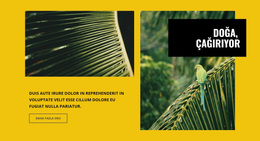 Doğa Çağırıyor - WordPress Temasını Ücretsiz Indirin