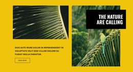 The Nature Are Calling Website Template