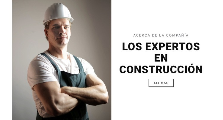 Los expertos en construcción Maqueta de sitio web