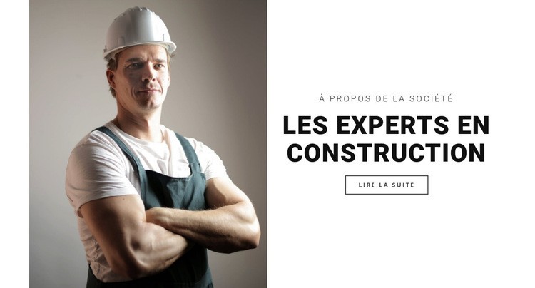 Les experts du bâtiment Modèle CSS