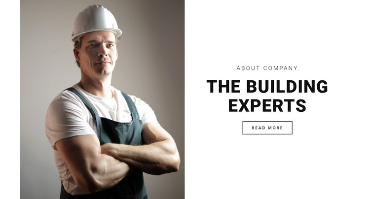 The building experts Homepage Design
