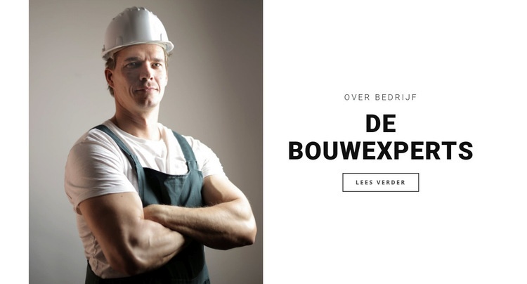 De bouwexperts Sjabloon