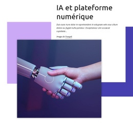 Plateforme Numérique - Meilleur Modèle D'Une Page