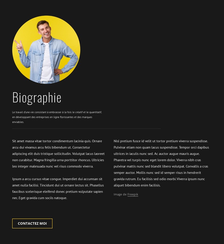 Biographie de concepteur de blogueur de voyage Conception de site Web