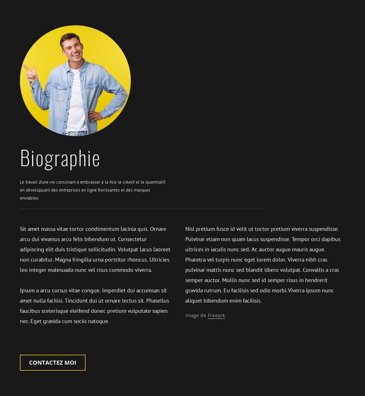 Biographie de concepteur de blogueur de voyage Modèle d'une page
