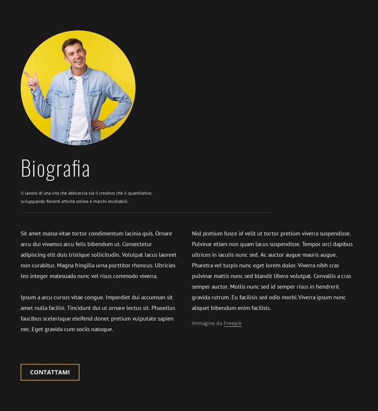 Biografia del designer di blogger di viaggio Costruttore di siti web HTML