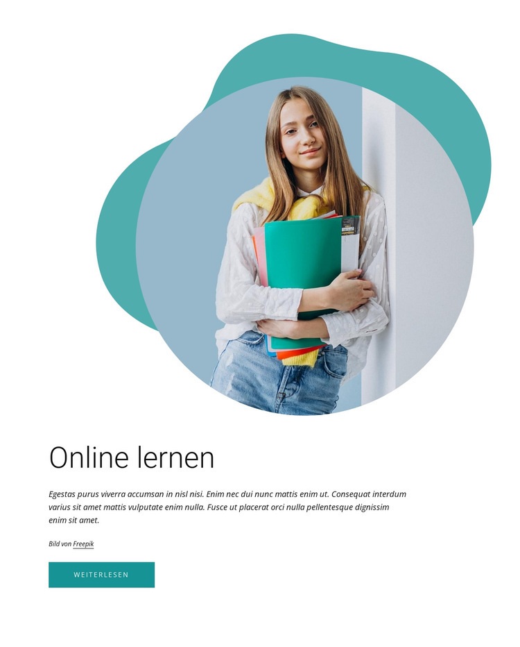 Online-Lerntaktiken Website-Modell