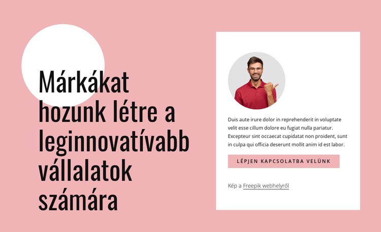 Innovatív márkákat hozunk létre WordPress Téma