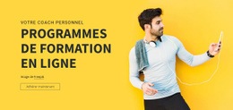 Programmes De Formation En Ligne