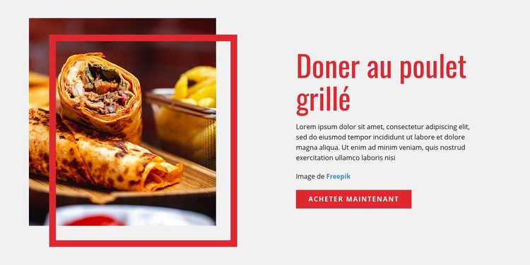 Doner au poulet grillé Conception de site Web