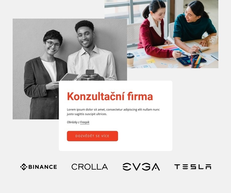 Profesionální poradenská firma Šablona