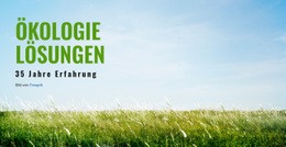Ökologische Lösungen – Fertiges Website-Design