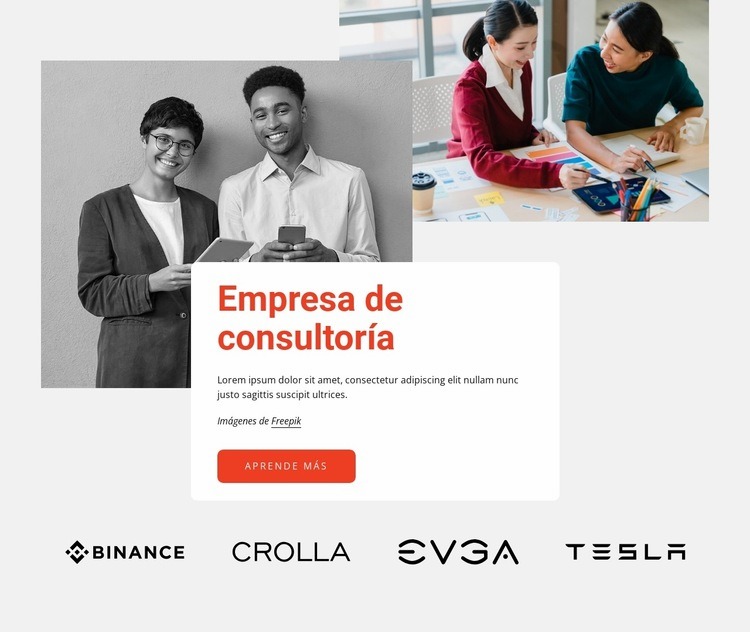 Consultoría profesional Creador de sitios web HTML