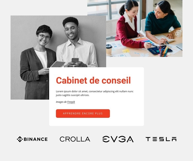 Cabinet de conseil professionnel Modèles de constructeur de sites Web