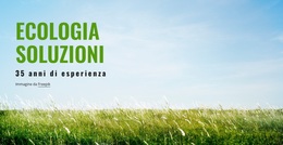 Soluzioni Ecologiche - Funzionalità Tema WordPress