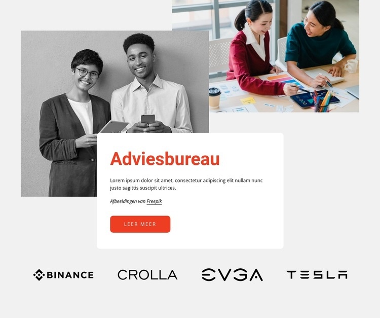 Professioneel adviesbureau Website mockup