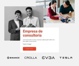 Empresa De Consultoria Profissional