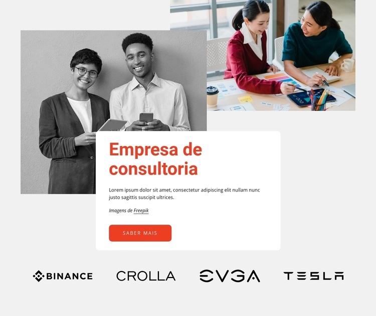 Empresa de consultoria profissional Modelo de uma página