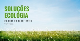 Soluções Ecológicas - Funcionalidade Do Tema WordPress