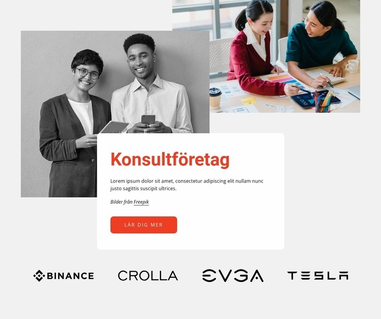 Professionell konsultfirma Webbplats mall