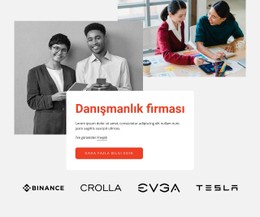 Profesyonel Danışmanlık Firması