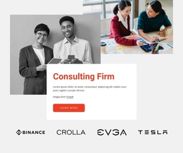 Website Design App For Professional Consulting Firm