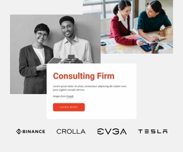 Professional Consulting Firm