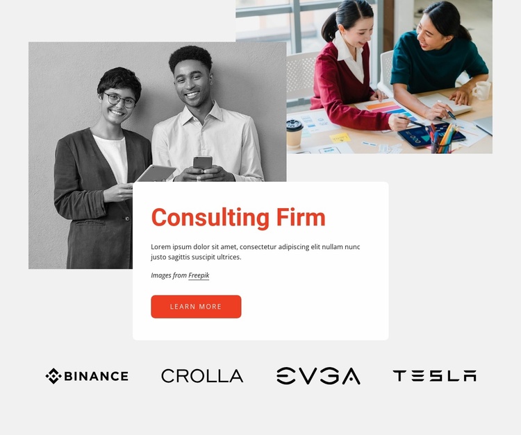 Professional consulting firm Landing Page